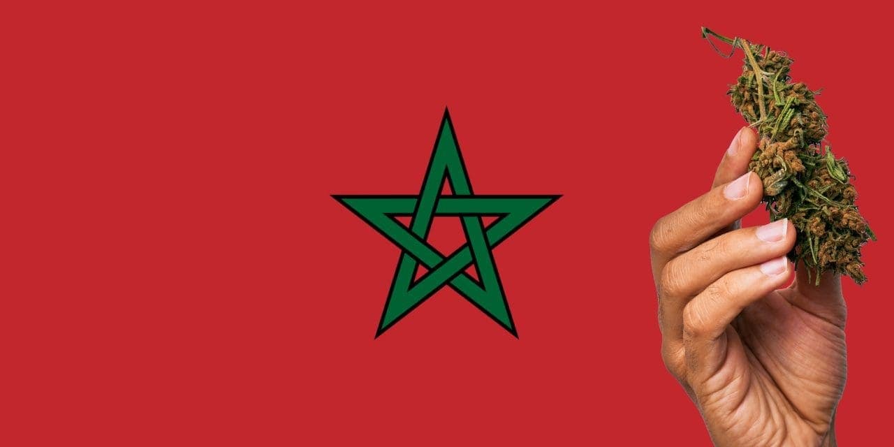 moroccan flag with marijuana bud in front